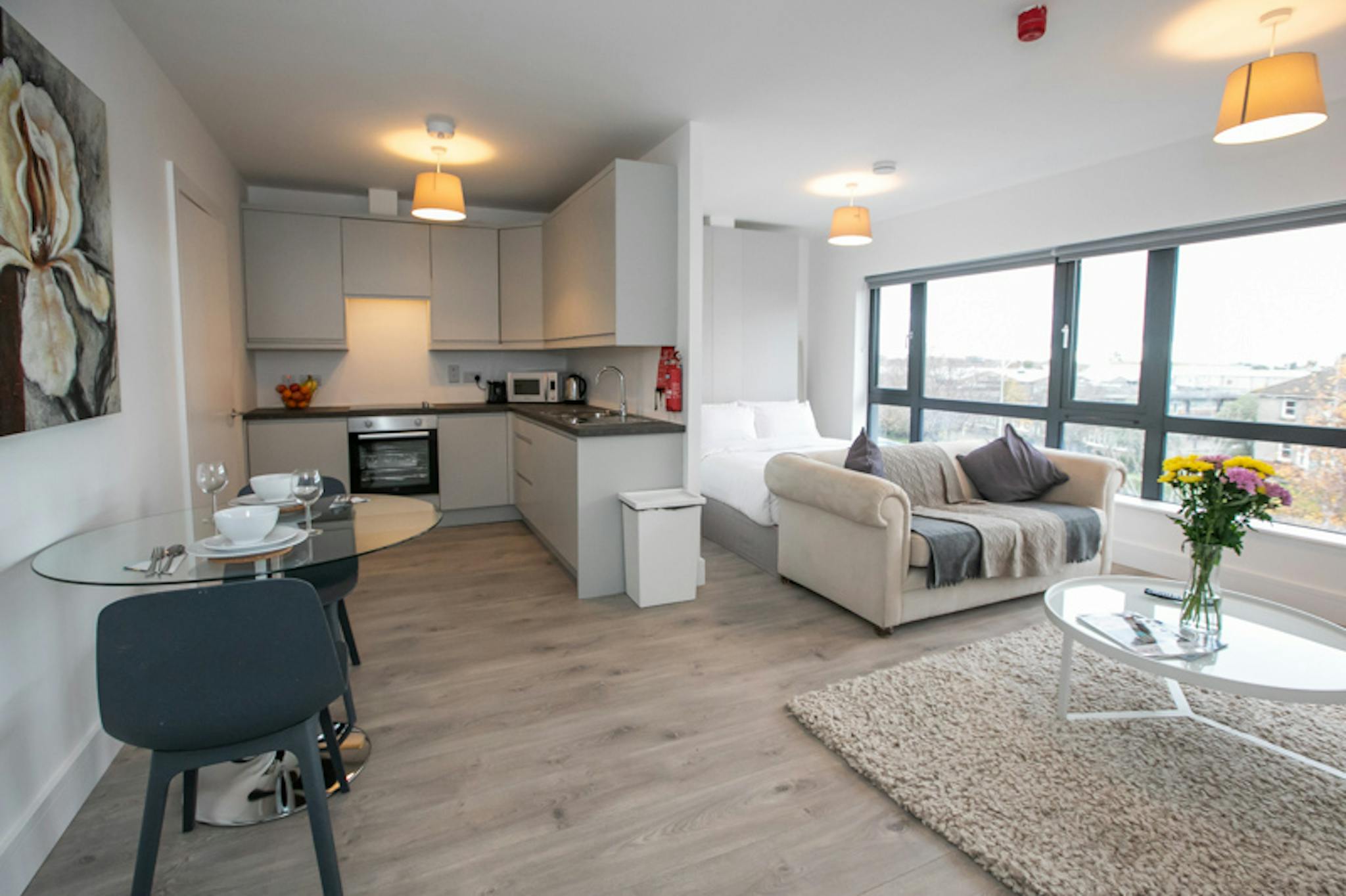 Pearse Street, Dublin preview