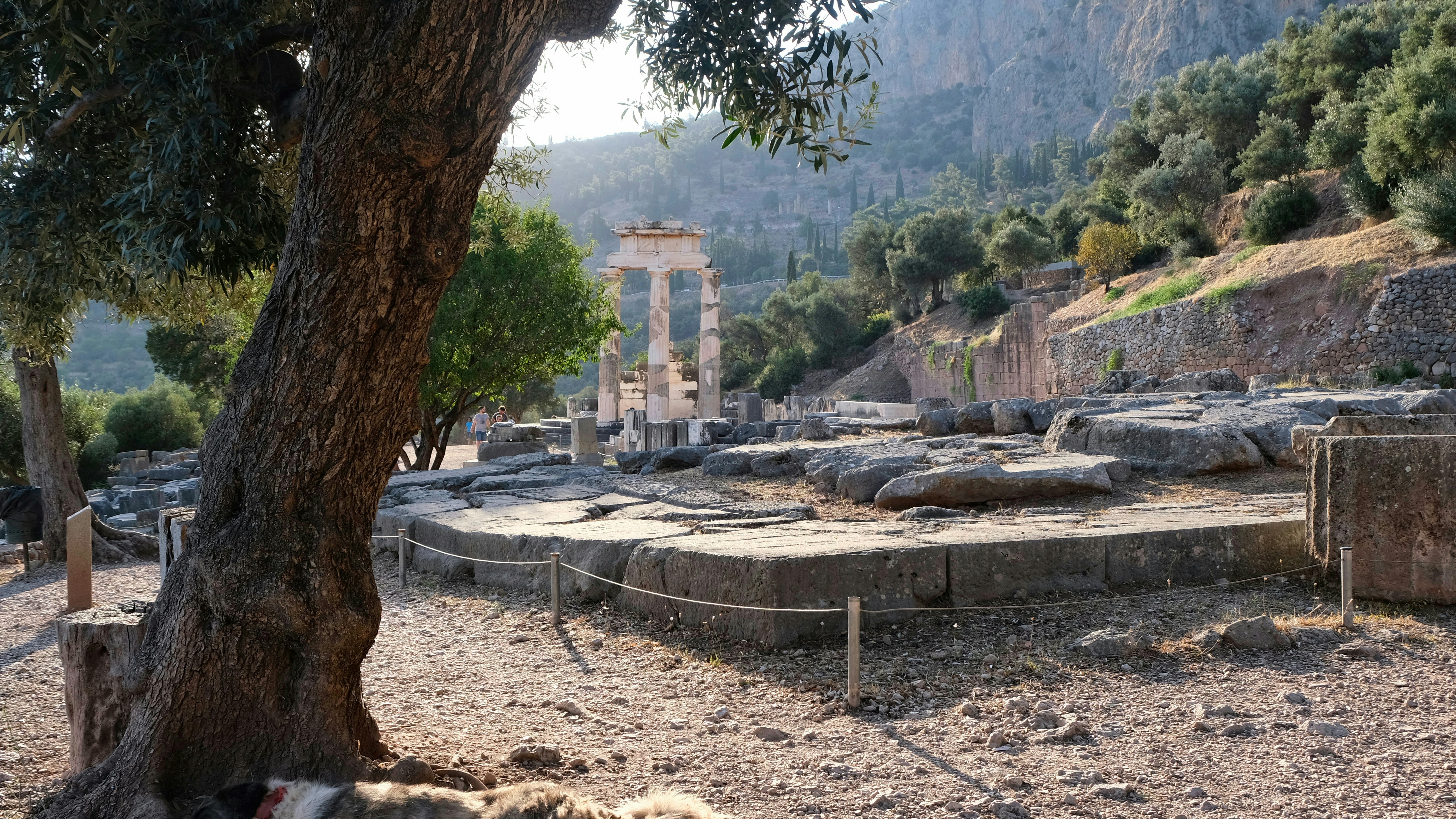 Ruins of the Temple of Athena Pronaia in Delphi, surrounded by lush greenery and mountains.