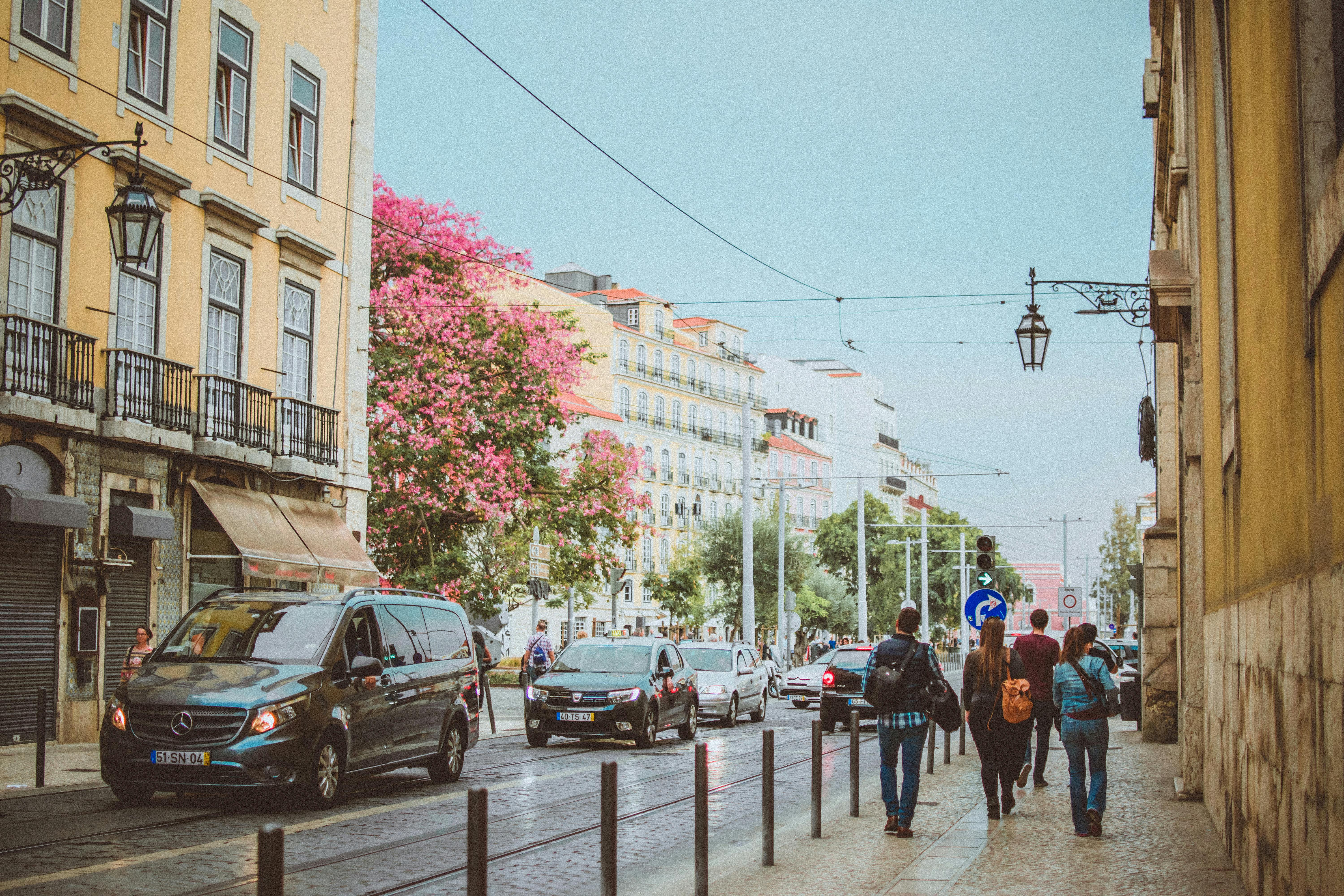 Lisbon street with trees and historic buildings.
