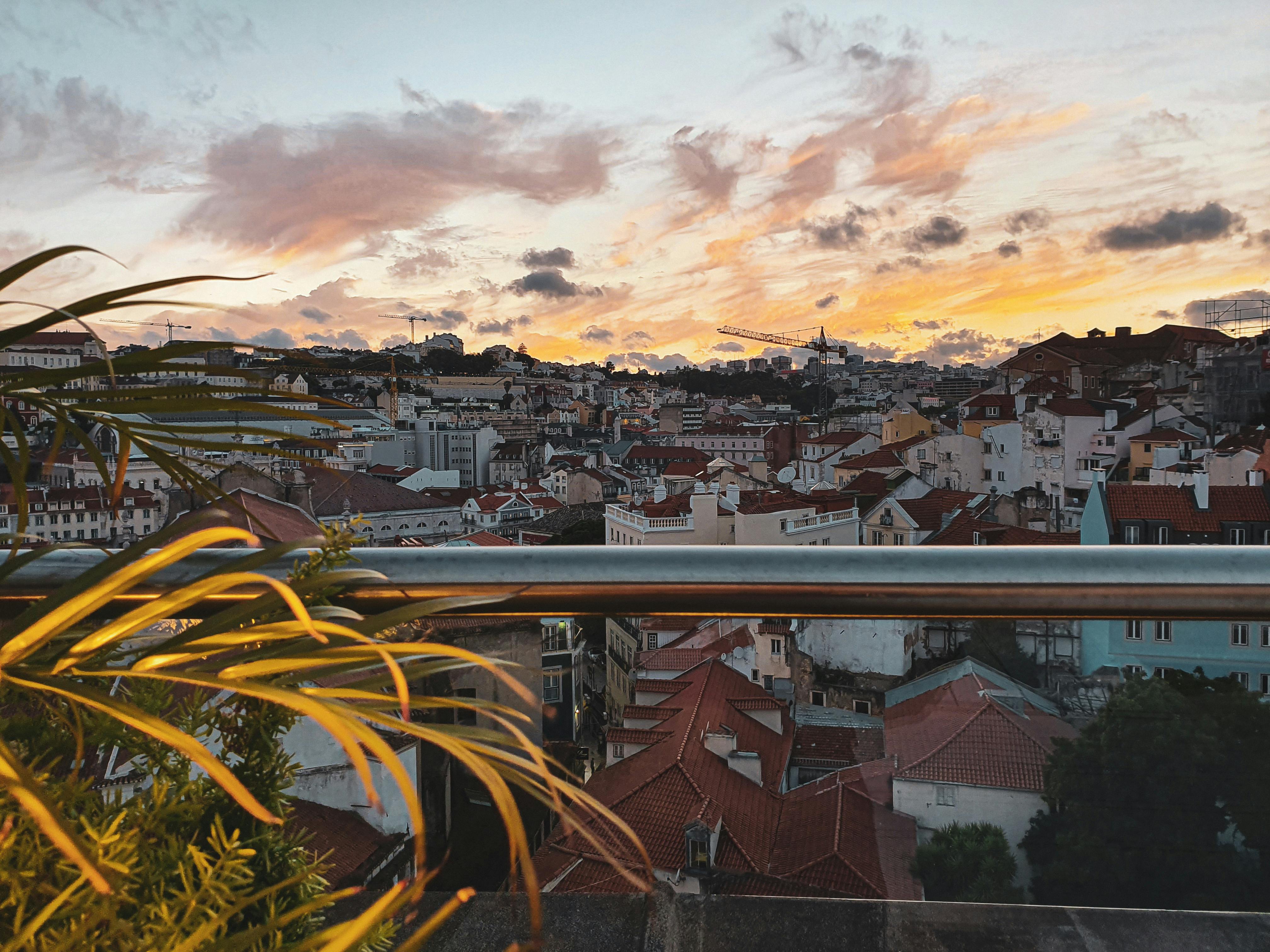 A scenic view of Lisbon’s rooftops with a vibrant sunset sky and plants in the foreground.