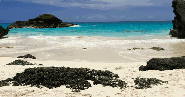 sandy beach in bermuda