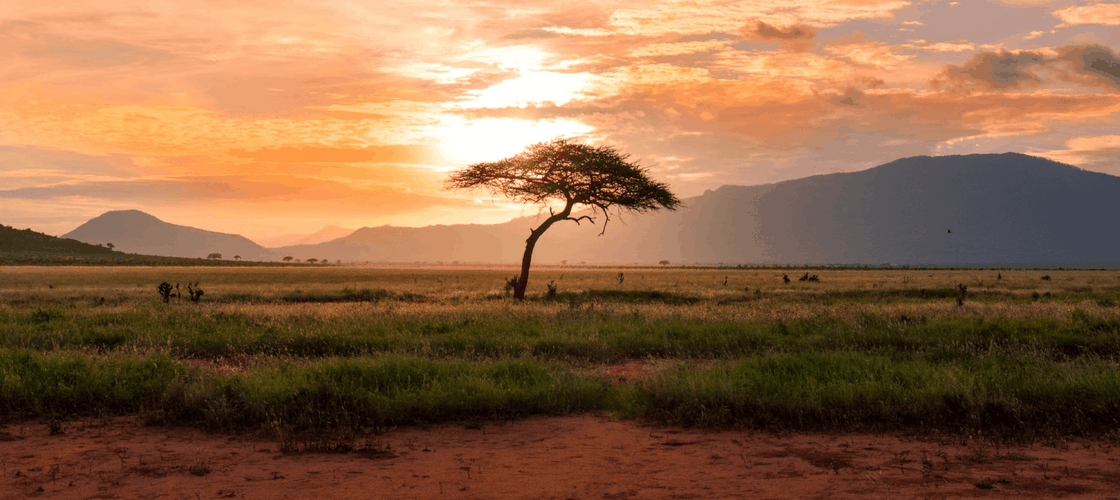 Scenic image of South Africa