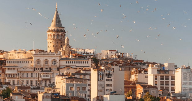 view of instanbul with birds everywhere