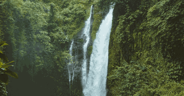 huge waterfall with green plants everywhere